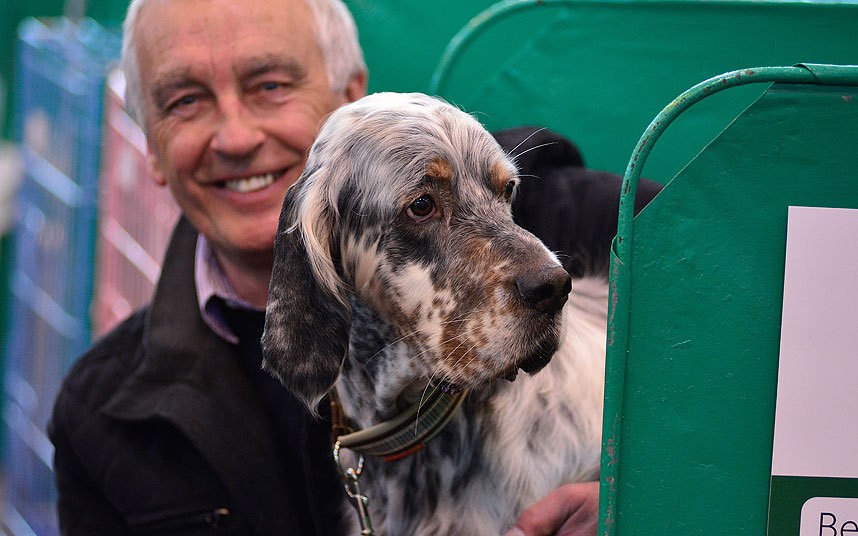 2015世界顶级狗赛开始啦 主人快看过来(10)_健