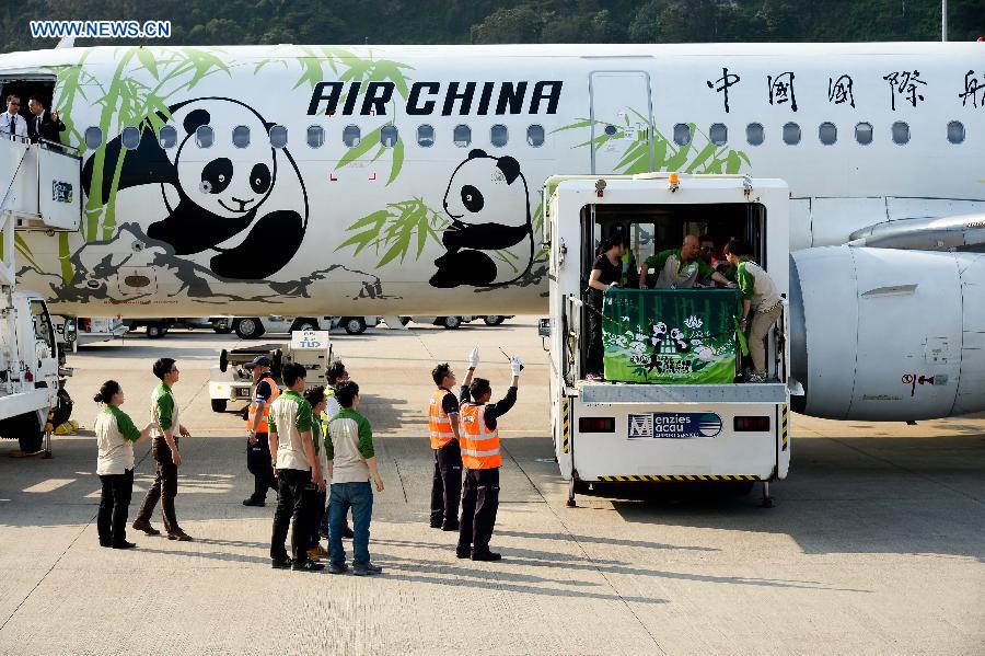 New pair of pandas arrive in Macao(7)