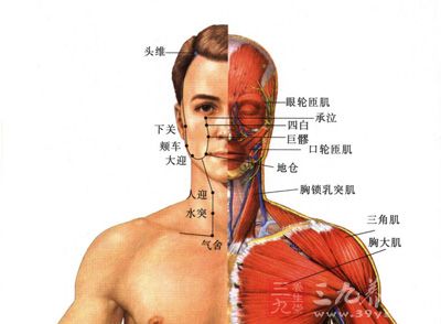 隙中间有匹马猜一成语(3)