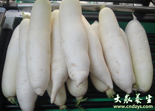 怎么样种白萝卜好 eca86bd9dc5016ef411e2d.jpg