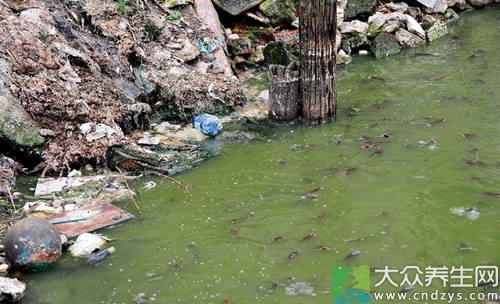 <em>世界上最脏</em>的鱼 味道再美也别吃 _要闻 _光明网