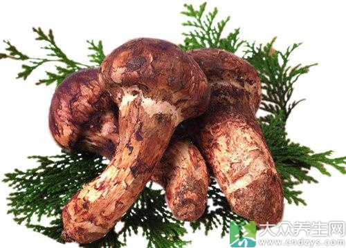 松茸图片及功效 eca86bd9dc5016ff43b142.jpg