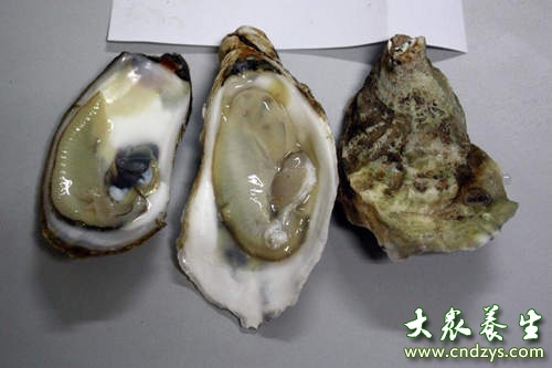 助孕、护肝!含锌食物的8个健康好处(1)