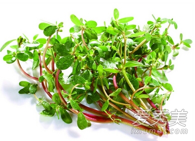 中药也能当菜吃 7种药材吃出健康好身材
