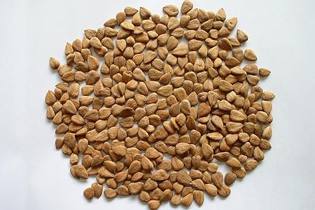 鸡蛋燕麦杏仁 这11种强悍抗衰老食物吃了更年