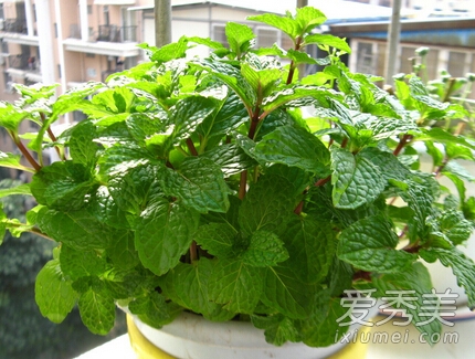 胃病不能吃什么 9种食物加重病情(1)