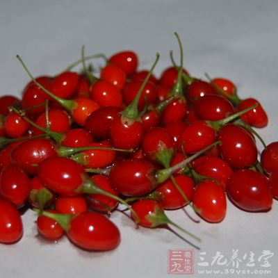 枸杞怎么吃 怎么吃枸杞不上火(6)