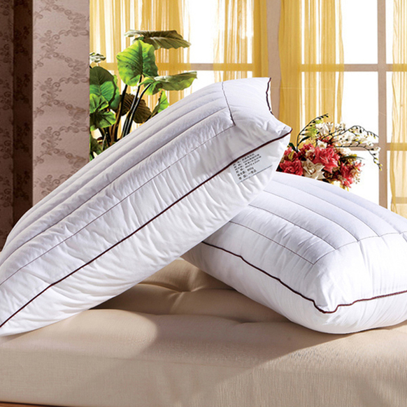 枕芯里的健康杀手 一半是螨虫和霉菌(3)