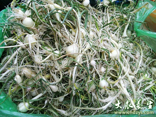 7种野菜是癌症克星(7)