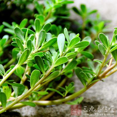 腹泻﹐由于湿热所造成的腹泻﹑痢疾﹐以及细菌性肠炎