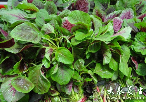 8种防癌野菜医生抢着吃 8种防癌野菜医生抢着吃