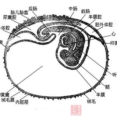 它竟是古代皇帝寻求的不老药(3)