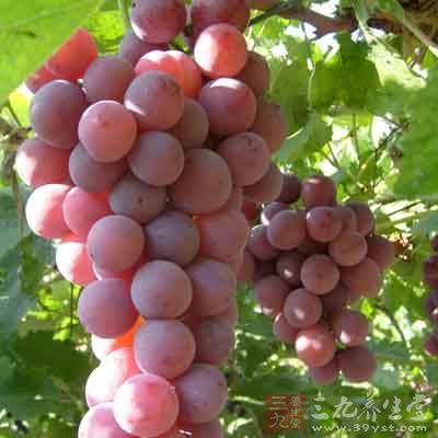 葡萄吃多了会怎么样 对身体有哪些伤害(2)