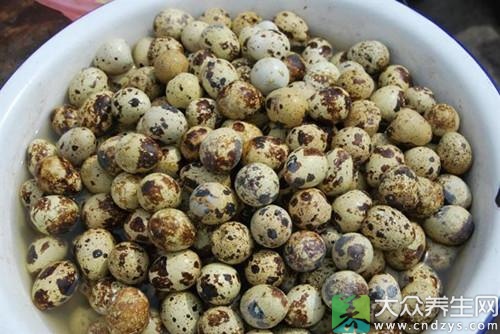 鹌鹑蛋不为人知营养价值