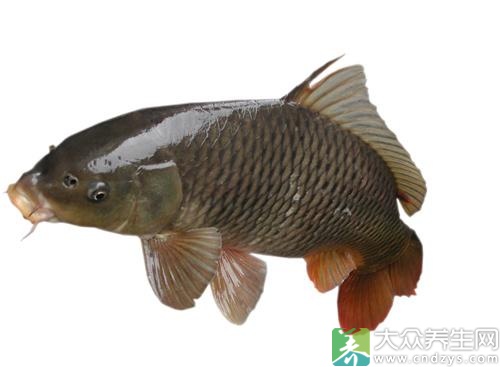 裡ЩʳԲ뼦