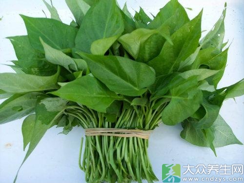番薯叶才是蔬菜中的战斗机(1)
