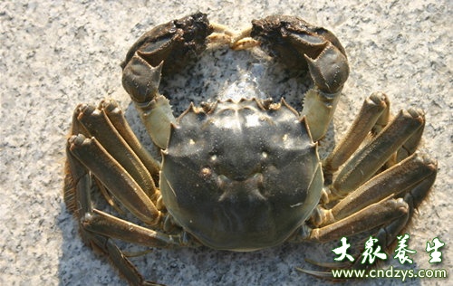 挑选海鲜窍门 eca86bd9dc501795ce7a60.jpg