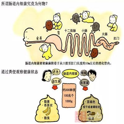 eca86bd9dc50179991f71d.jpg