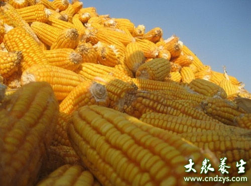 睡眠不好怎么办 想要睡得好睡前别做这些事情