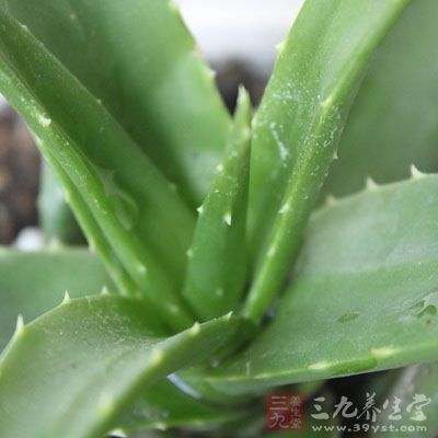 忽略这细节竟会中毒致死(5)