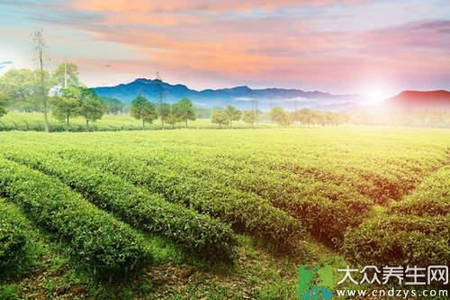 胃不好秋天就要多吃1种食物 胃不好秋天就要多吃1种食物(3)
