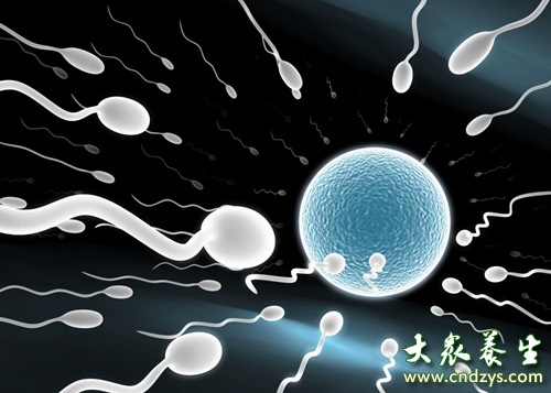 年轻人﹐你知道精子到底能跑多快吗?(3)