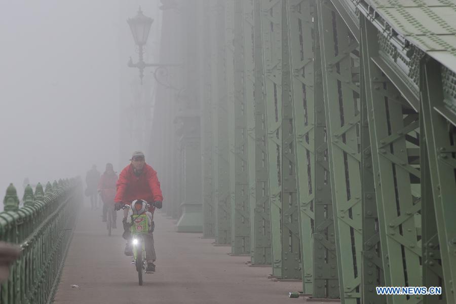 Heavy fog looms over Budapest, Hungary(4)