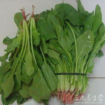菠菜是什么季节生长的 d02788d8dd6e17af86ea38.jpg