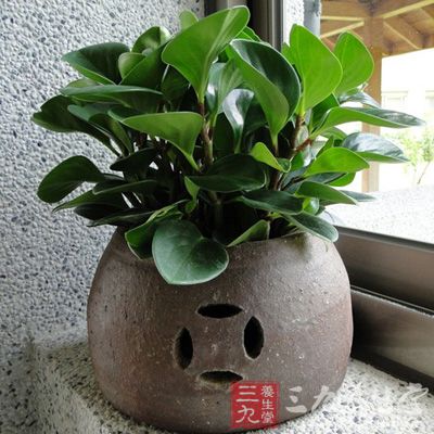 结婚照千万别在放家里这个地方(10)_要闻 _光