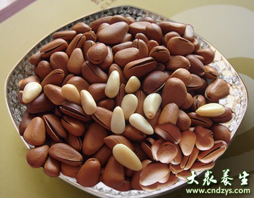 松子 f04da22d7b2e17c9f57225.jpg