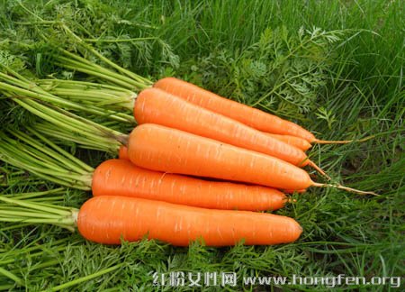 冬季有意识地吃四种养生食材能养好胃