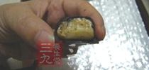 这些“臭”食物却能治疗多种疾病 榴莲就是一级美味水果