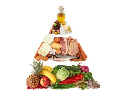 根据食物与健康之间的关系，建立了新的健康饮食金字塔