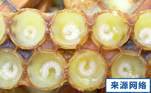 日常服用蜂王浆的禁忌有哪些