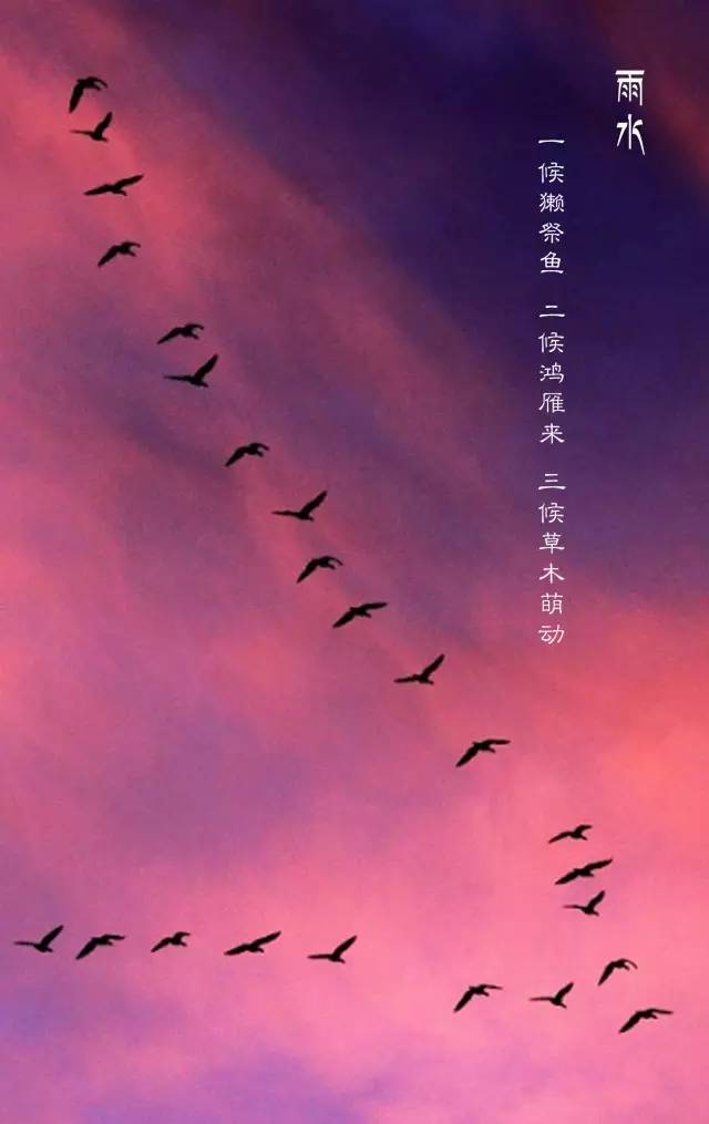 雨水的情书