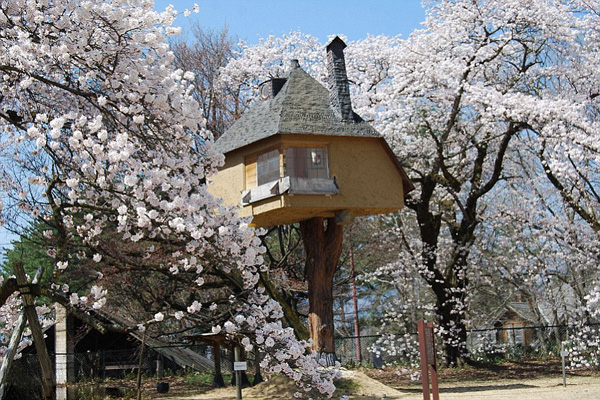 Treehouses around the world