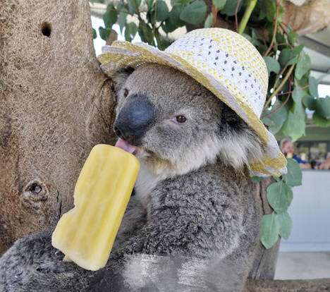 We can chill out a little in such a hot summer(1)