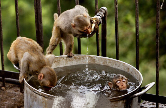 We can chill out a little in such a hot summer(6)