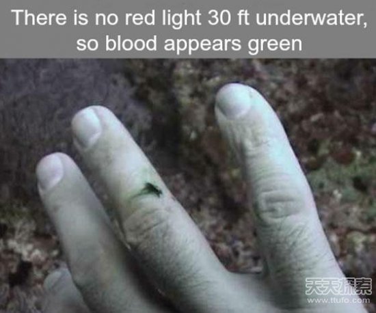 20个超有趣生活小知识 看看你知道几个(6)