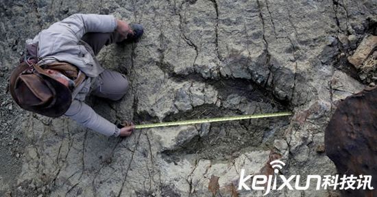玻利维亚发现最大恐龙足迹 距今约8千万年