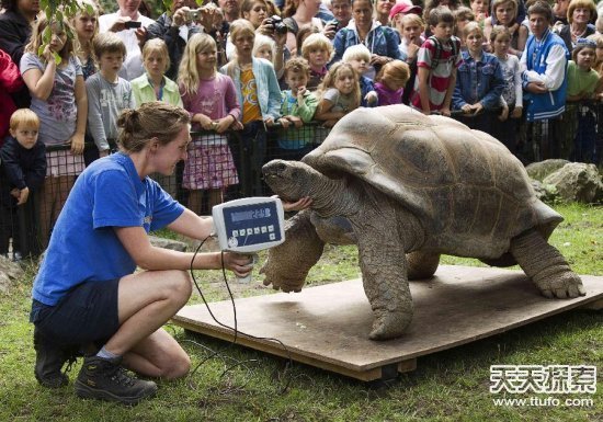 动物吉尼斯纪录:最长蚯蚓2.1米(2)