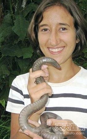 动物吉尼斯纪录:最长蚯蚓2.1米(7)