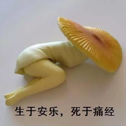 夏天来大姨妈,女人简直在遭受酷刑!