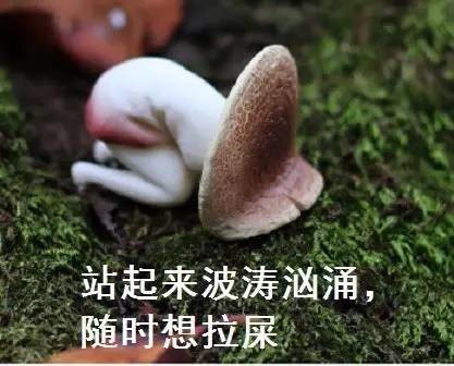 夏天来大姨妈,女人简直在遭受酷刑!