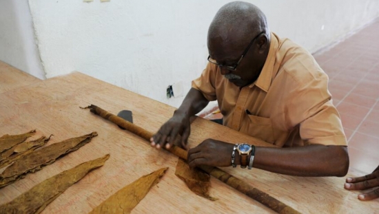 古巴男子将制作超8180米长雪茄 挑战世界纪录