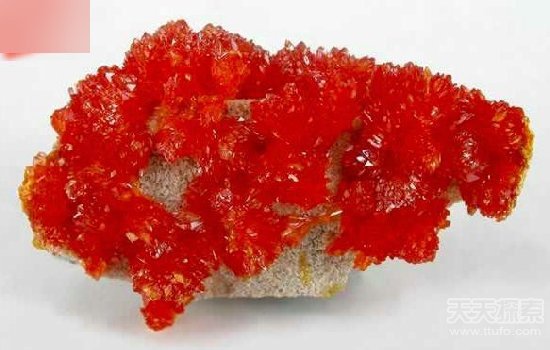 自然界中最致命石头:碰了小心没命(4)