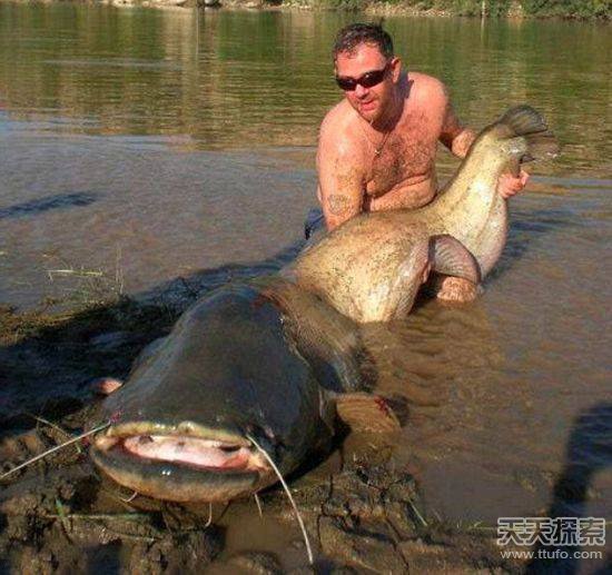 震惊:热带雨林地底挖出巨型生物(4)