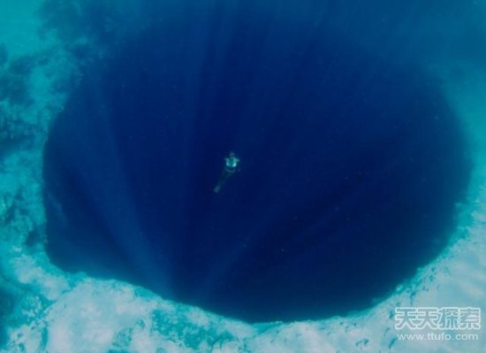 20张震撼海底画面 深海恐惧症者慎入(8)