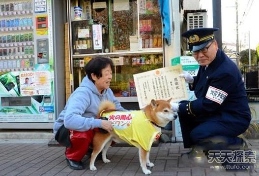 曰本有多少人口_日本人口数量2015年 日本有多少人口2015年(2)