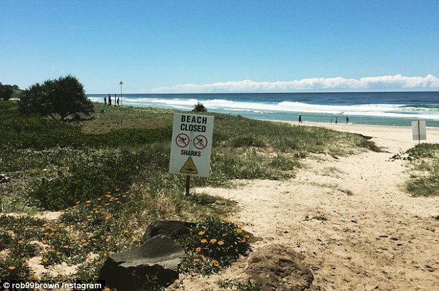 澳洲17岁少年海滩冲浪遭鲨鱼袭击 大腿撕裂严